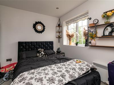 Picture 14